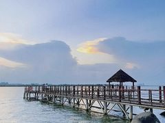 -瑶湖郊野森林公园