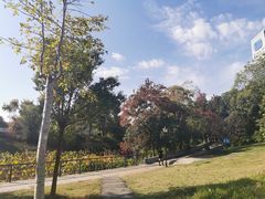 -月湖风景区