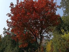 -香山公园-东宫门售票处