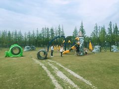 -上海长兴岛郊野公园