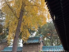 -西安化觉巷清真大寺