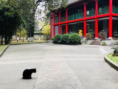 -四川大学(华西校区)