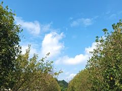 -贵州森林野生动物园