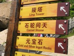 -洋山深水港