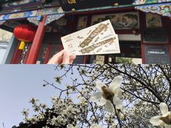-碑林公园