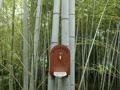 -求雨山文化公园