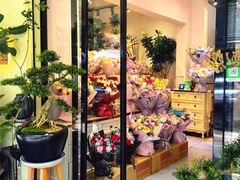 -溪岸路花鸟市场