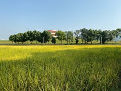 -光明小镇欢乐田园