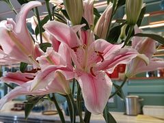 -南堂馆·新川菜(春熙路店)