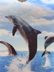 -烟台曙光医疗美容医院