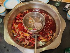 -金鼎雪山牦牛杂火锅(理县总店)