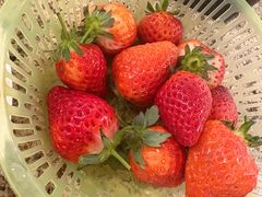 -禾斗海鲜自助(市南银座店)