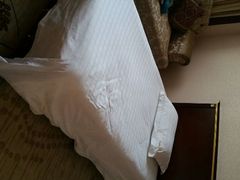 android_upload_pic-上海莎海国际酒店