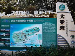 -大亚湾红树林城市湿地公园