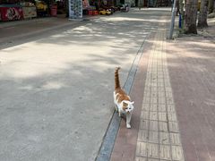 -廊坊市自然公园