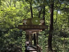 -大岭沟猕猴桃谷风景区