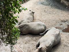 -长鹿旅游休博园