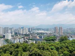 -金鸡山公园