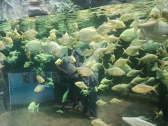 -南昌融创海世界