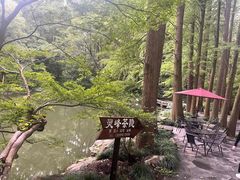 -杭州植物园