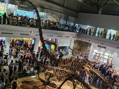 -自贡恐龙博物馆