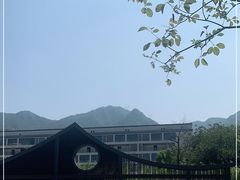 -南丹山森林王国