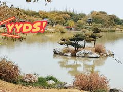 -扬州大运河文化旅游度假区·盆景园