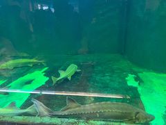 -洛阳龙门海洋馆