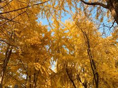 -桤木河湿地公园