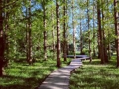 -国家植物园南园