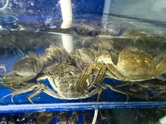 -阳澄湖大闸蟹·琼灵阁牌品牌连锁(吴中总店)