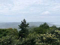 -苏州太湖国家湿地公园