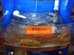 -香邦迷宗蟹(新汽车站店)