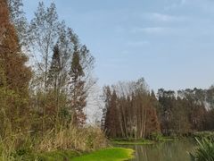 -桤木河湿地公园