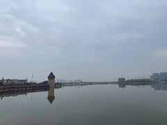 -九龙湖公园