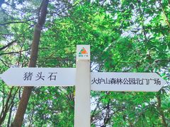 -火炉山森林公园