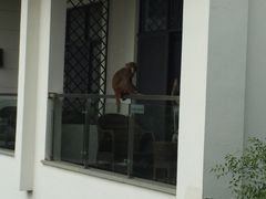 -苏州环秀晓筑养生度假村