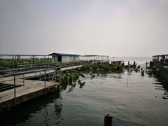 -渔娘蟹庄(阳澄湖莲花岛店)