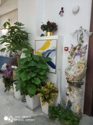 -新蝶变皮肤管理中心