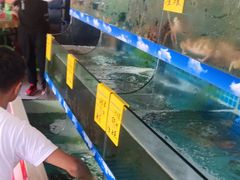 水产区-坛南湾阿强农家乐.海鲜大排档老字号(福州地标美食店)