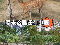 -观唐（国际）度假村温泉