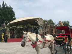 门面-南戴河国际娱乐中心