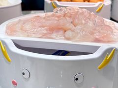 -龍歌自助小火锅(市北CBD万达店)