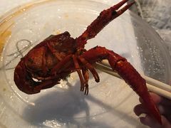 -华仔龙虾(永乐路总店)