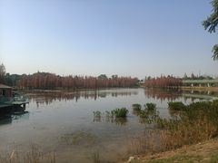 -白鹭湾湿地公园