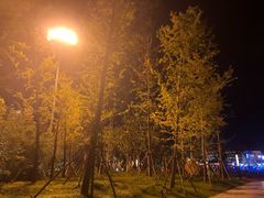 -万达广场(盐城盐都店)