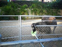 -三亚亚龙湾天域度假酒店