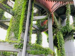 -芒洲湿地公园