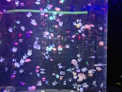 -邯郸海洋世界