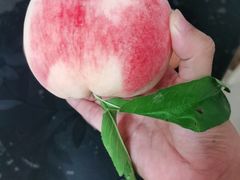 -鲜丰水果(杭州庆春银泰店)